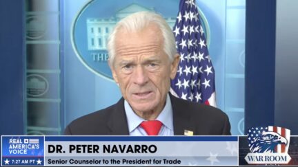 Peter Navarro