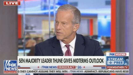 John Thune