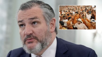 Ted Cruz rips Bo French's 