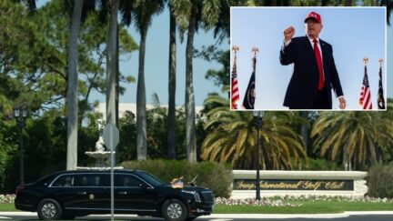 Trump's motorcade entering his Palm Beach Golf Club (AP Photo/Mark Schiefelbein); Donald Trump, Inset raising his fist wearing a red hat with american flags behind him(AP Photo/Julia Demaree Nikhinson)