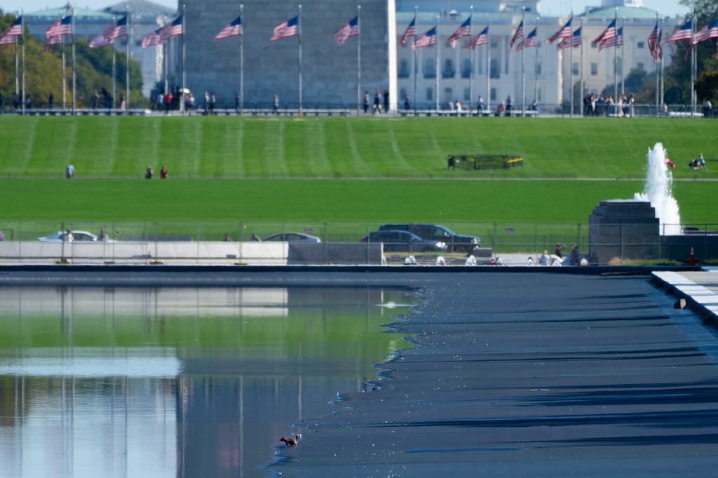 lincoln memorial reflecting pool