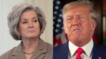 Trump and Wiles
