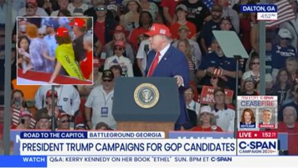 Trump Protester GA