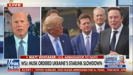 Matt Whitaker