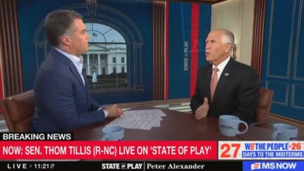 Peter Alexander interviewing Thom Tillis on MS NOW